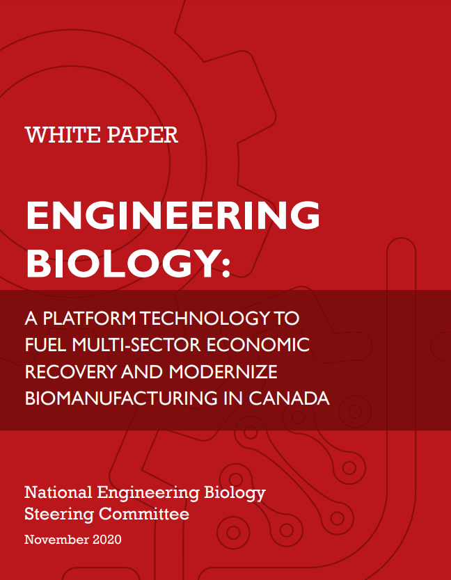Red background with the text: White Paper Engineering Biology - a platform technology to fuel multi-sector economic recovery and modernize biomanufacturing in canada